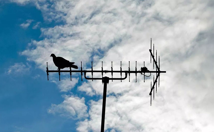 Learn something about Yagi Antenna